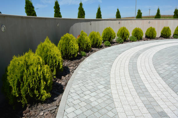 Best Commercial Driveway Pavers  in Choctaw Lake, OH